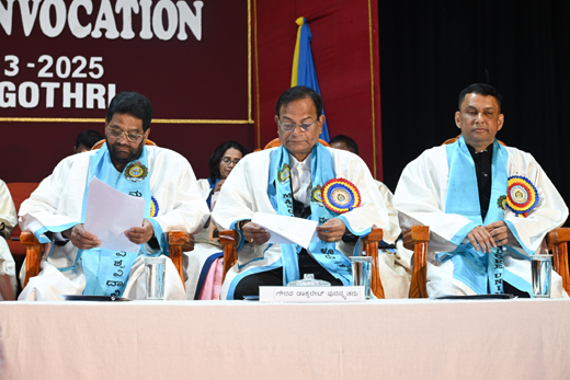 Honorary Doctorate